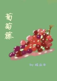 葡萄藤市