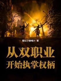 从双职业开始执掌权柄的人