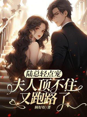夫人又闹离婚了全文免费阅读