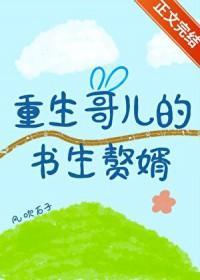 重生哥儿的书生赘婿by风吹石子