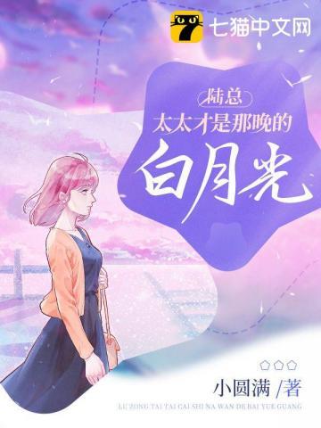 陆太太又在闹离婚了陆北司