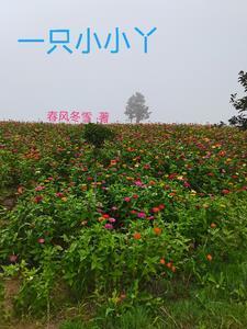 小小一只什么意思