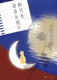 遗落在朝夕的月光是什么歌