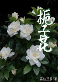 栀子花父女全集