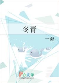 冬青油功效与作用