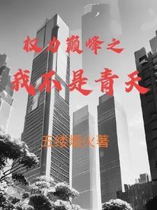 权力巅峰之我不是青天 第501章
