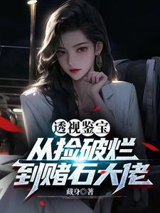 透视鉴宝从捡破烂到赌石大佬 全集