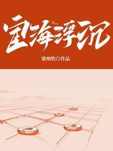 宦海浮沉录破解版