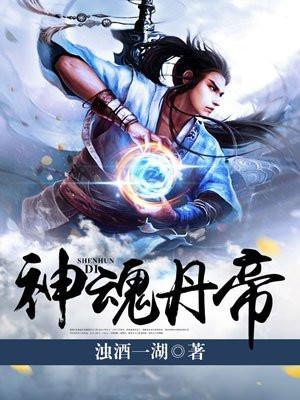 神魂丹帝叶尘
