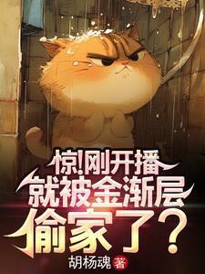 金渐层猫的视频
