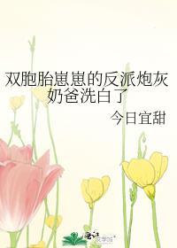 双胞胎奶爸系统