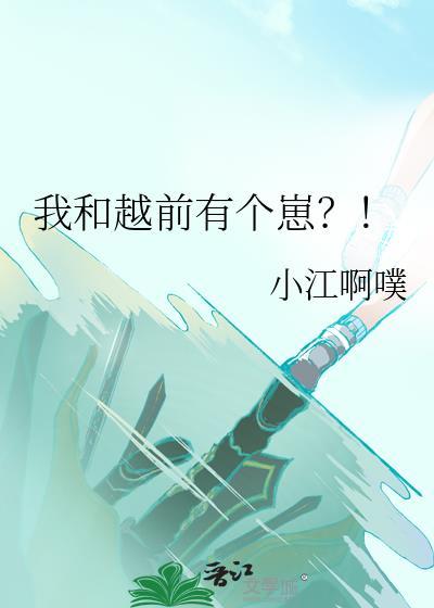 和越前谈恋爱33章