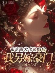 我另嫁豪门 长夜六六