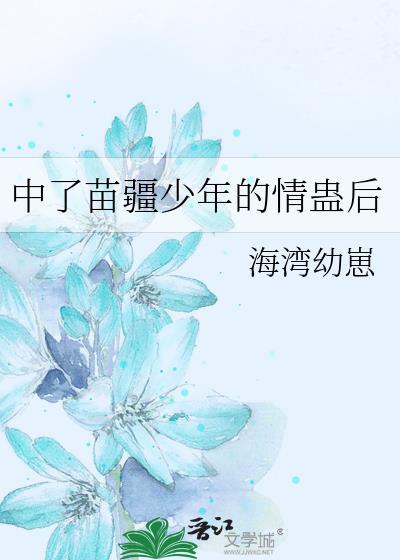 苗疆少年是什么