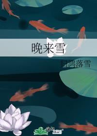 晚来雪 归鸿落雪百度