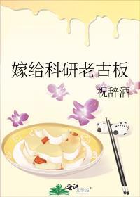 嫁给科研老古板讲什么故事