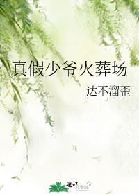 真假少爷火葬场txt无弹窗