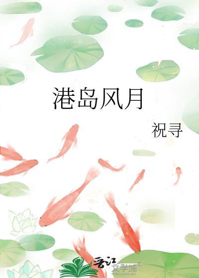 港岛风云txt