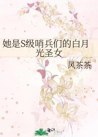 她是s级哨兵们的白月光圣女无防盗