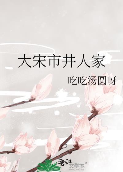 大宋市井人家讲的什么