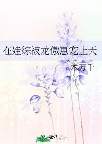 在娃综被龙傲崽宠上天百度