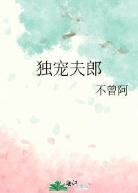 独宠夫郎txt