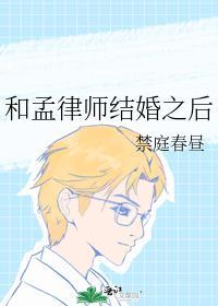 和孟律师结婚之后免费观看