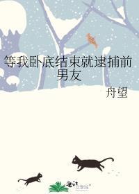 等我卧底结束就逮捕前男友盛通