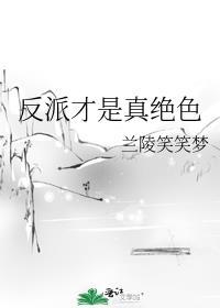 反派才是真绝色TXT百度