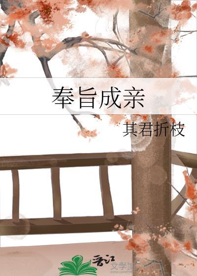 奉旨成亲韦小宝