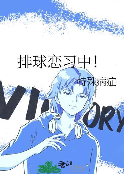 排球系列