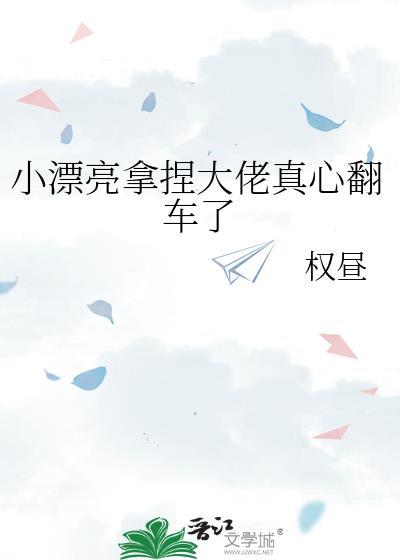 小漂亮拿捏大佬真心翻车了晋江
