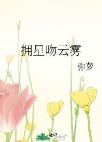 拥星吻云雾全文阅读