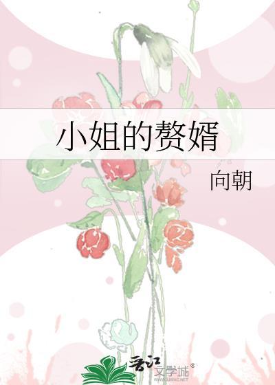 小姐的赘婿gl秦星