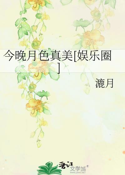 今晚月色真美文言文翻译