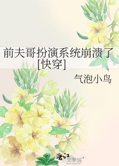 饭圈前夫哥是什么意思