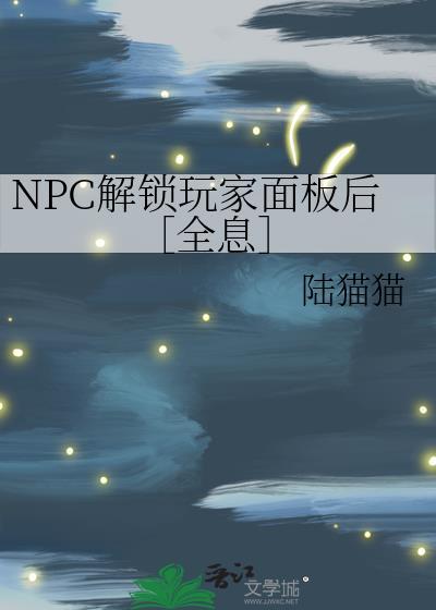 npc门锁
