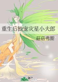 重生后独宠灾星小夫郎免费阅读