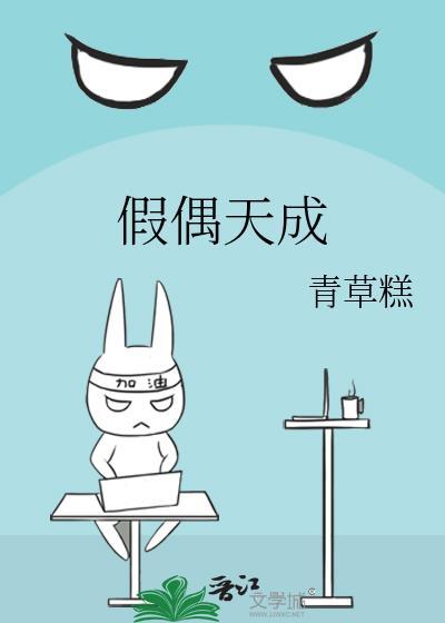 假偶天成原著