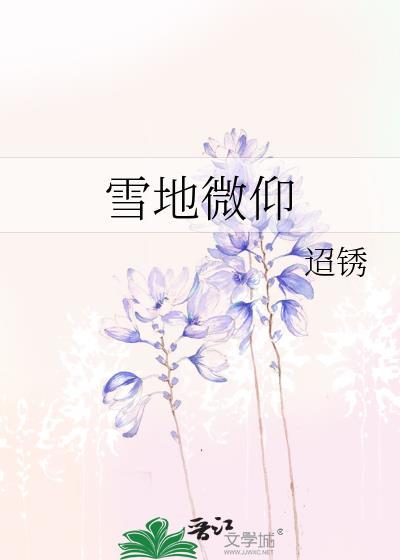 雪地diy