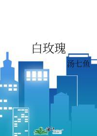 白玫瑰花语象征与寓意