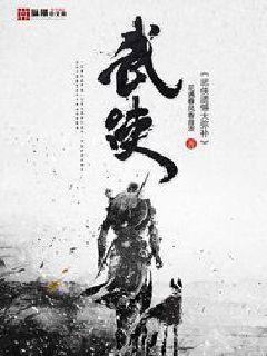 武侠遗憾大弥补TXT