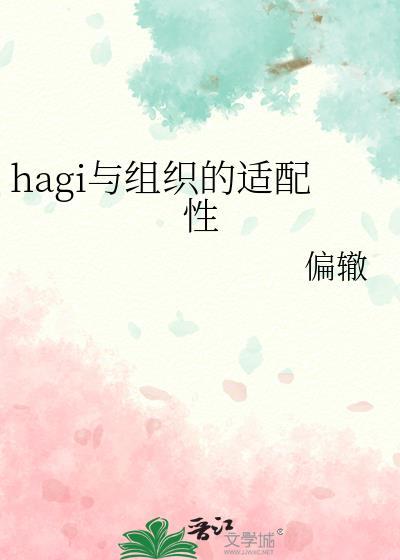hagi与组织的适配性后续