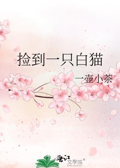 捡到一只白猫全文免费阅读