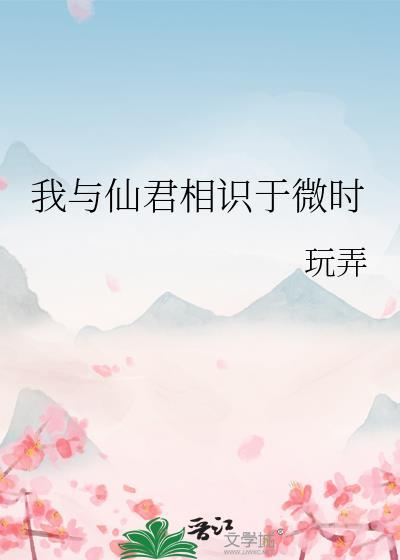 我与仙君相识于微时玩弄