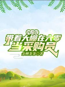 四合院带着大棚在六零当采购员笔趣阁