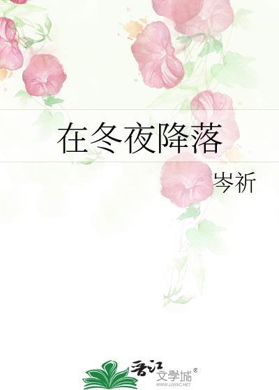 在冬夜降落结局是什么