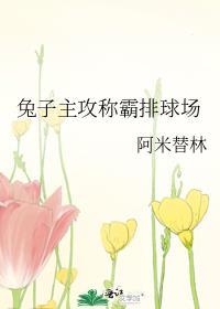 兔子主攻称霸排球场笔趣阁
