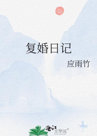 复婚日记讲什么