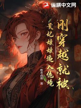 刚刚穿越就被陷害